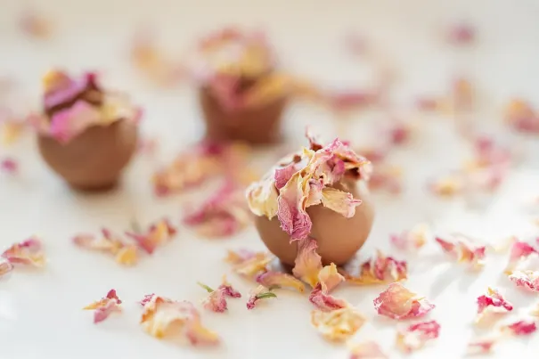 Kazino Bella Vegas Android/iOS Lietotne